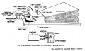 Wheatstone